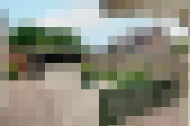 Fluitekruid 27 Bedum thumbnail 30