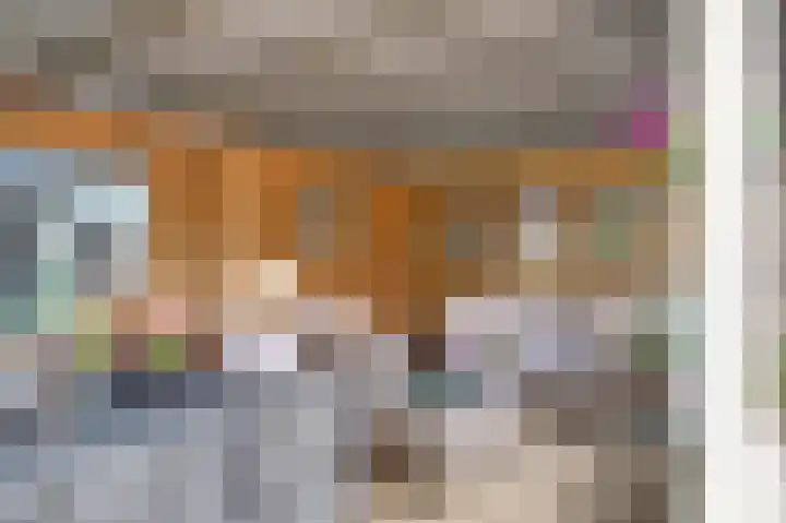 Fluitekruid 27 Bedum thumbnail 31