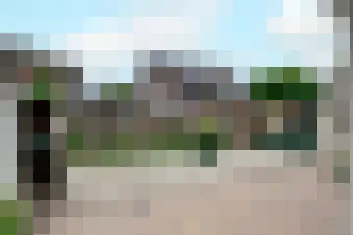 Fluitekruid 27 Bedum thumbnail 32