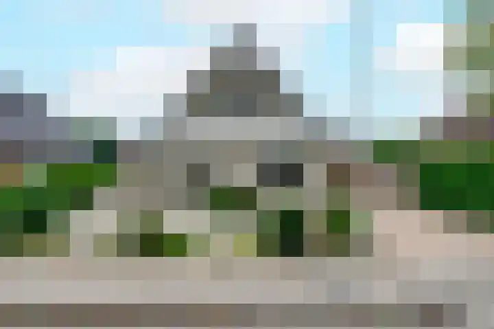 Fluitekruid 27 Bedum thumbnail 34