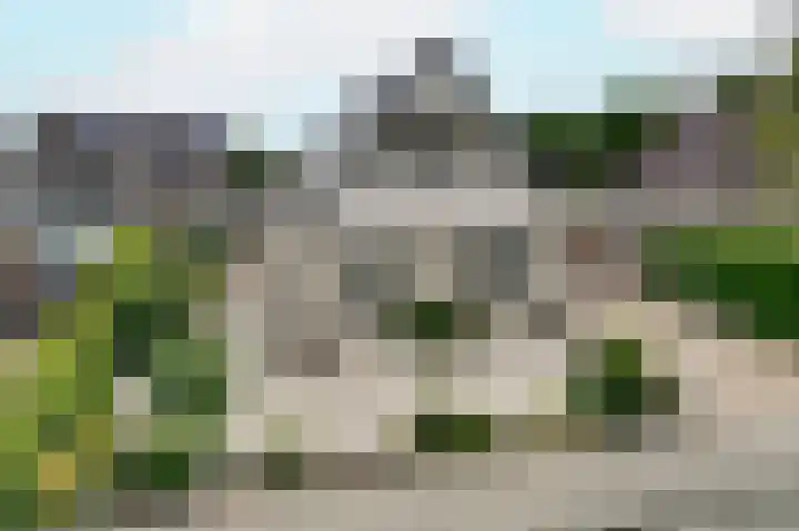 Fluitekruid 27 Bedum thumbnail 35