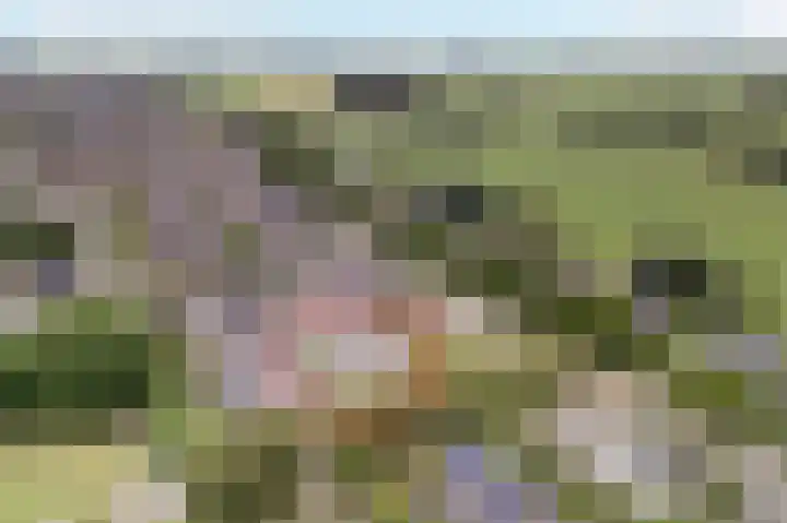 Fluitekruid 27 Bedum thumbnail 37