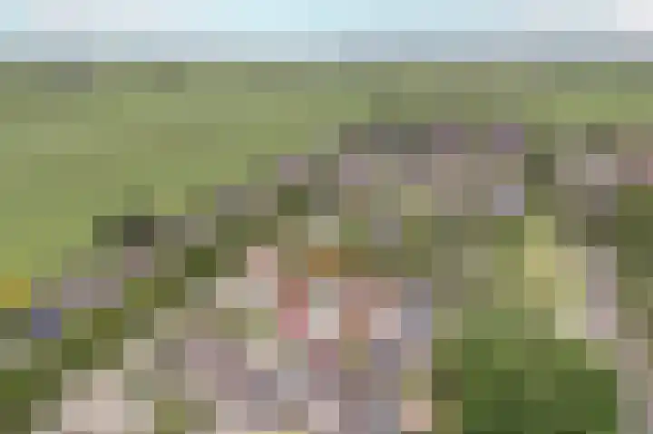 Fluitekruid 27 Bedum thumbnail 38