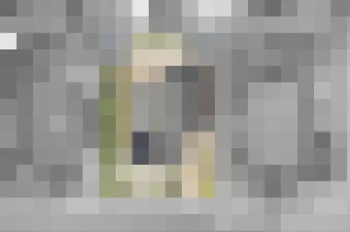 Fluitekruid 27 Bedum thumbnail 39