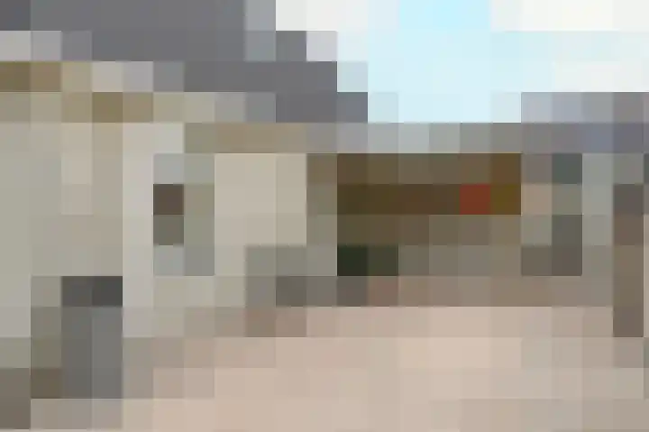 Fluitekruid 27 Bedum thumbnail 4