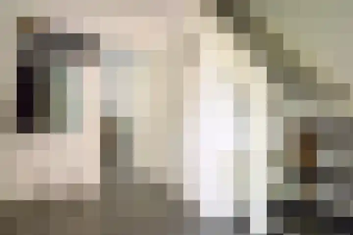 Fluitekruid 27 Bedum thumbnail 6