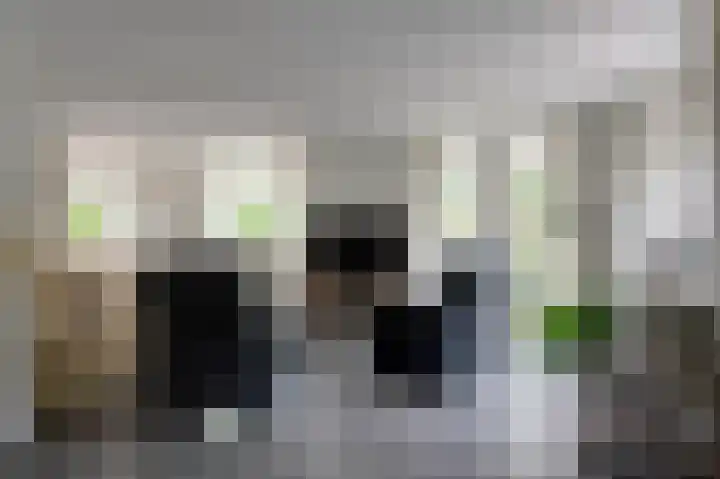Fluitekruid 27 Bedum thumbnail 7
