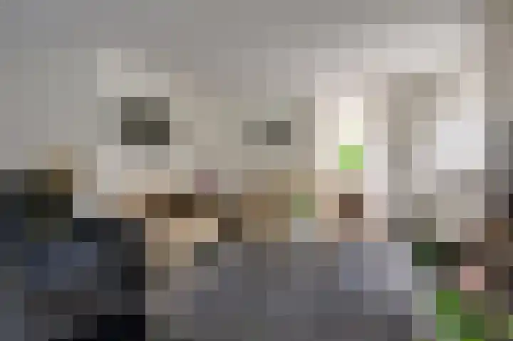 Fluitekruid 27 Bedum thumbnail 9