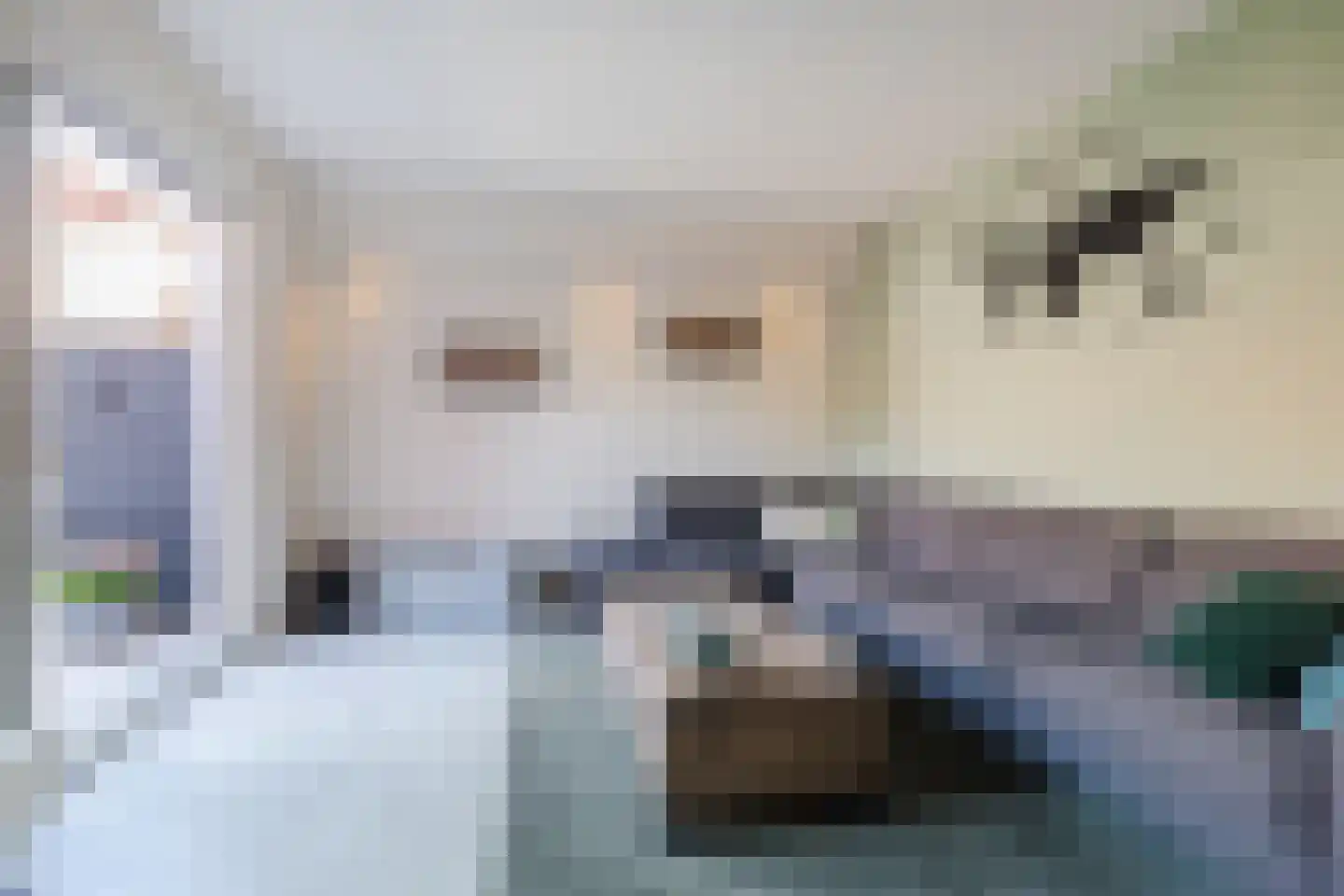 Fluitekruid 28 Bodegraven thumbnail 10