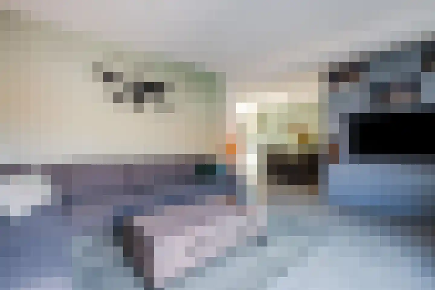 Fluitekruid 28 Bodegraven thumbnail 11