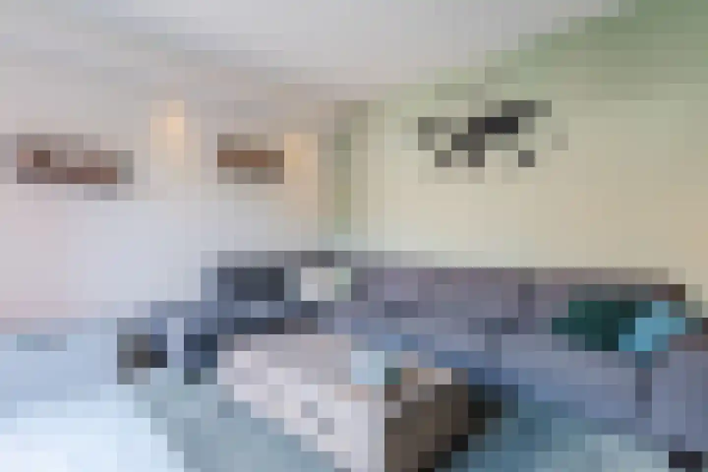 Fluitekruid 28 Bodegraven thumbnail 12