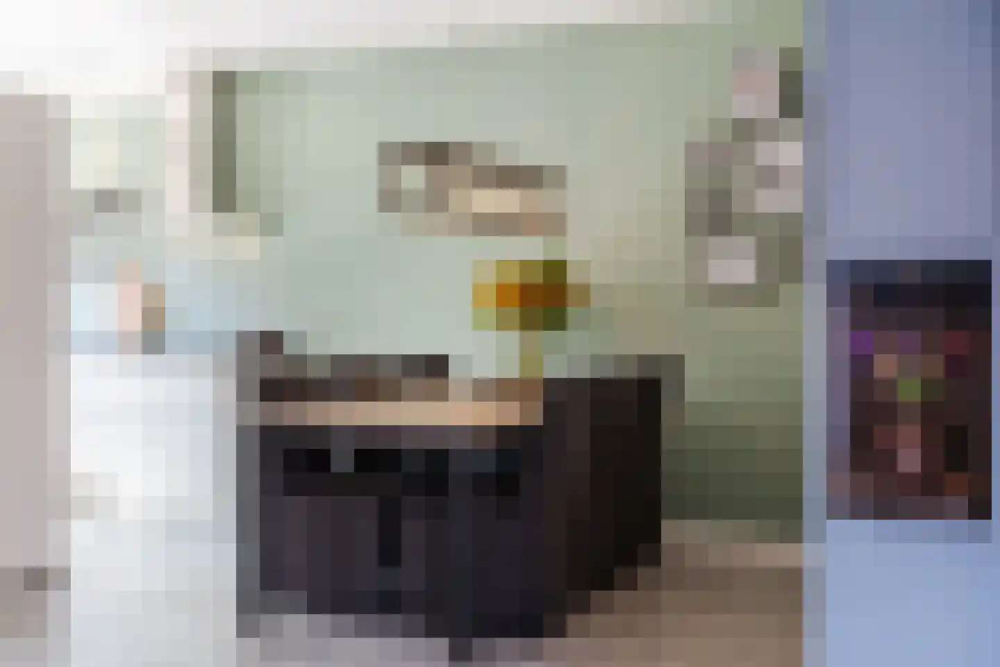 Fluitekruid 28 Bodegraven thumbnail 14