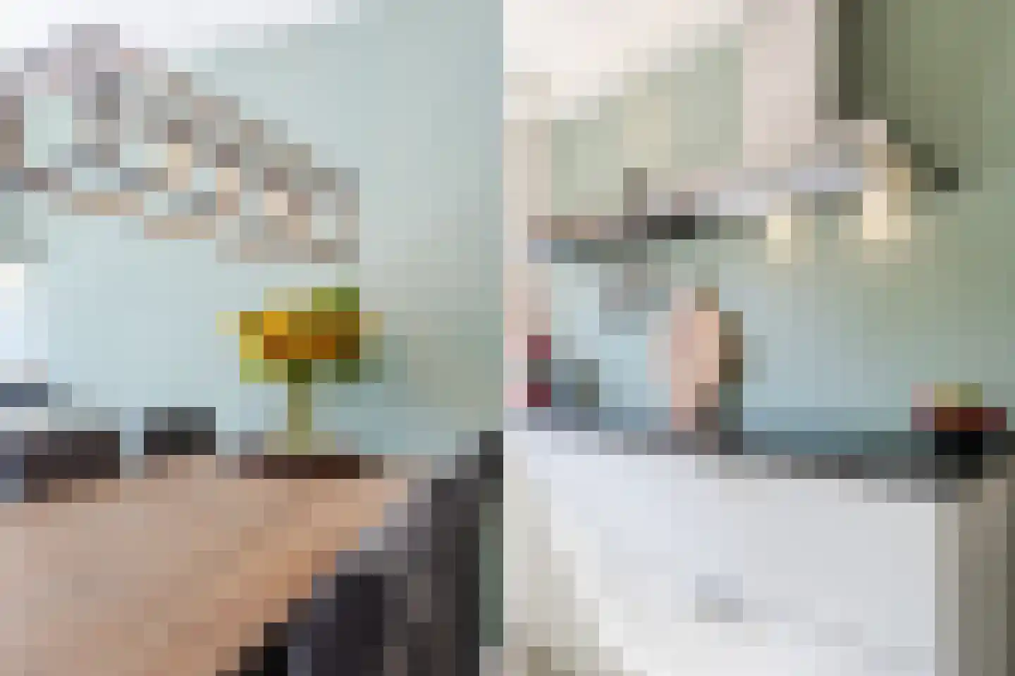 Fluitekruid 28 Bodegraven thumbnail 17