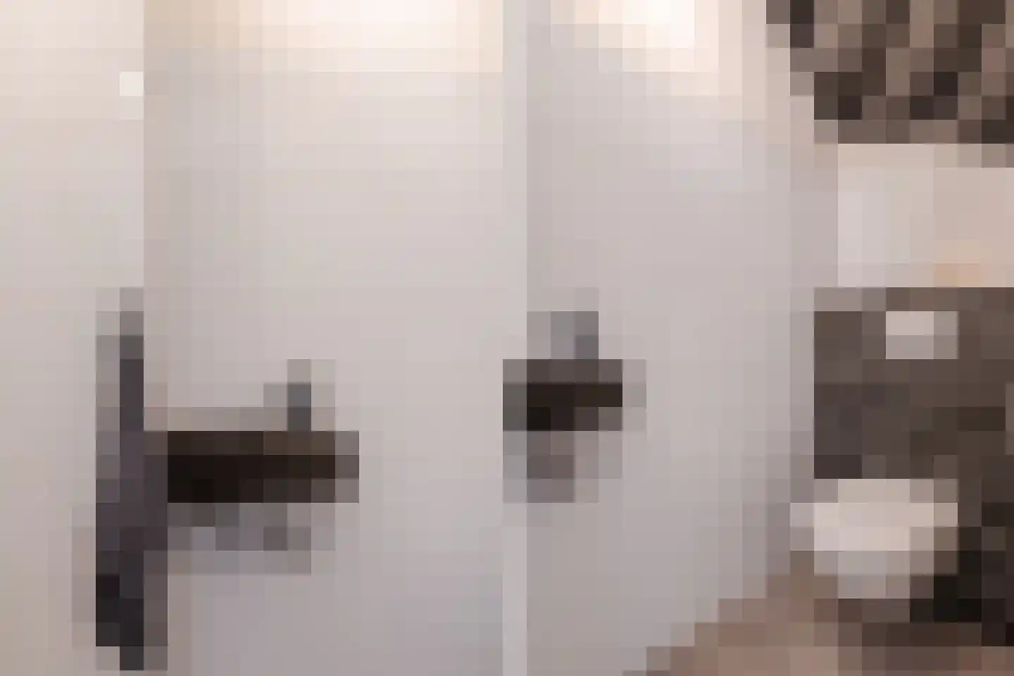 Fluitekruid 28 Bodegraven thumbnail 21