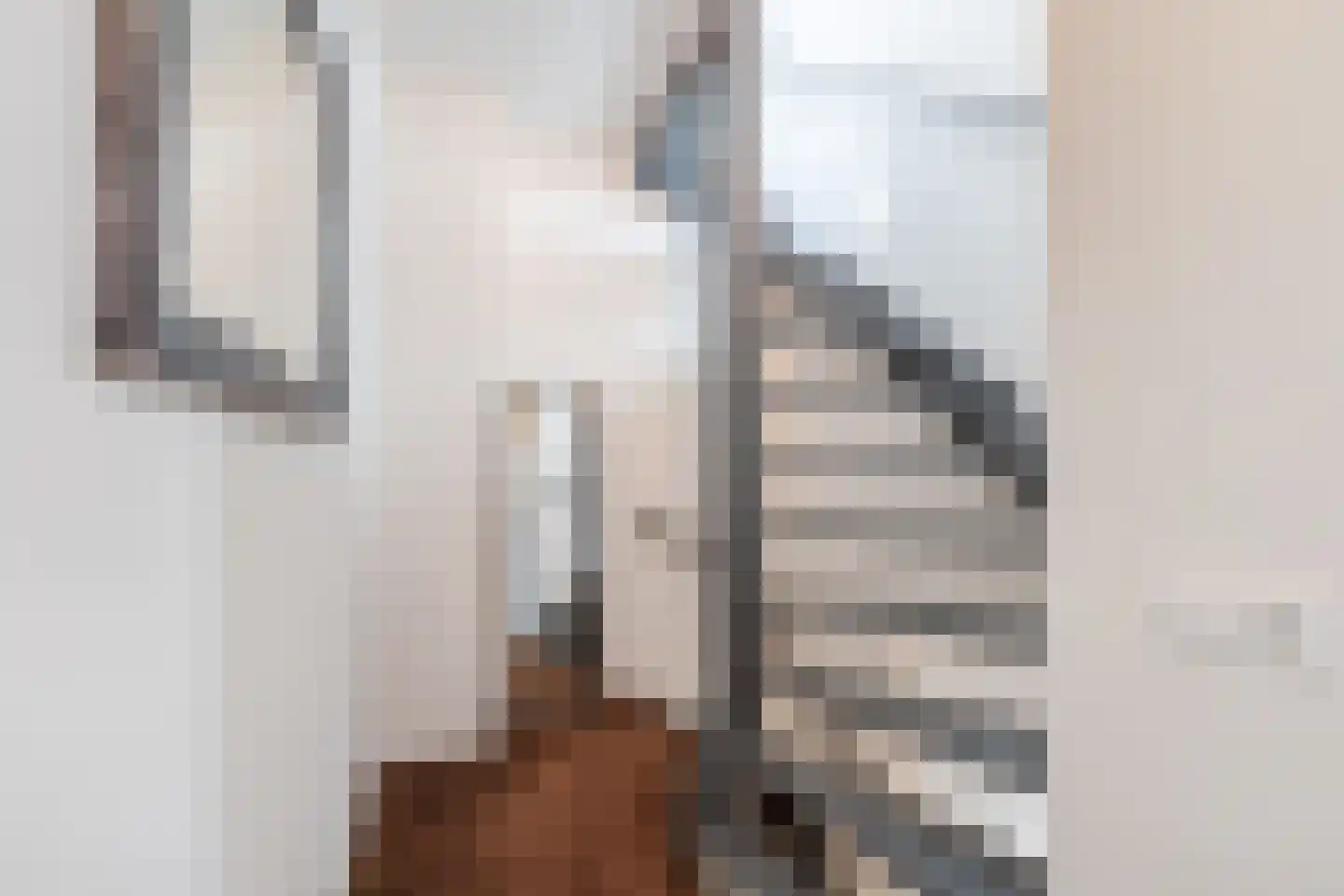 Fluitekruid 28 Bodegraven thumbnail 29
