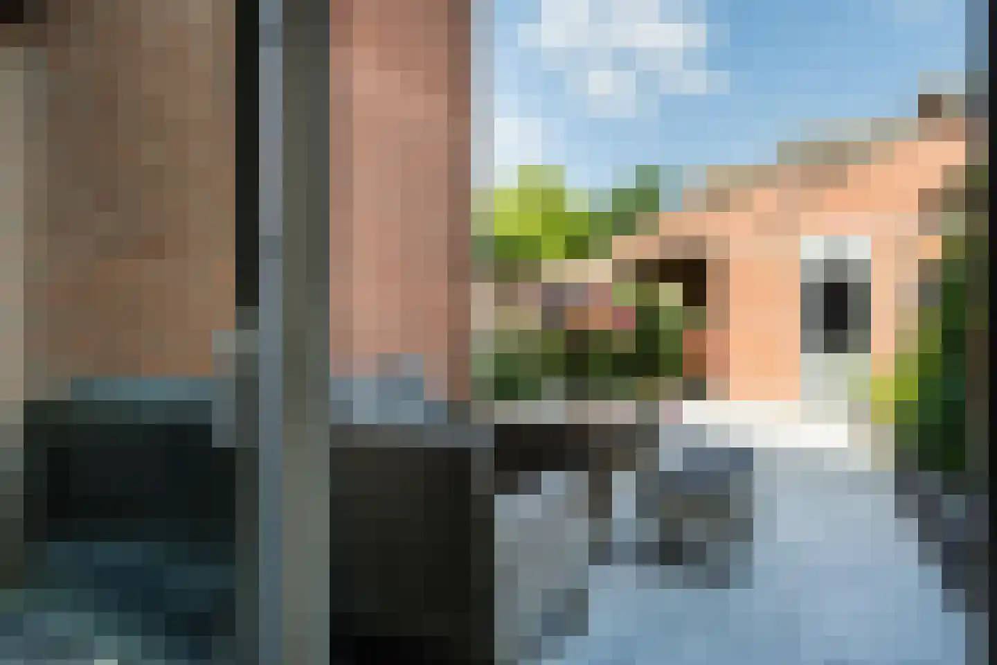 Fluitekruid 28 Bodegraven thumbnail 32