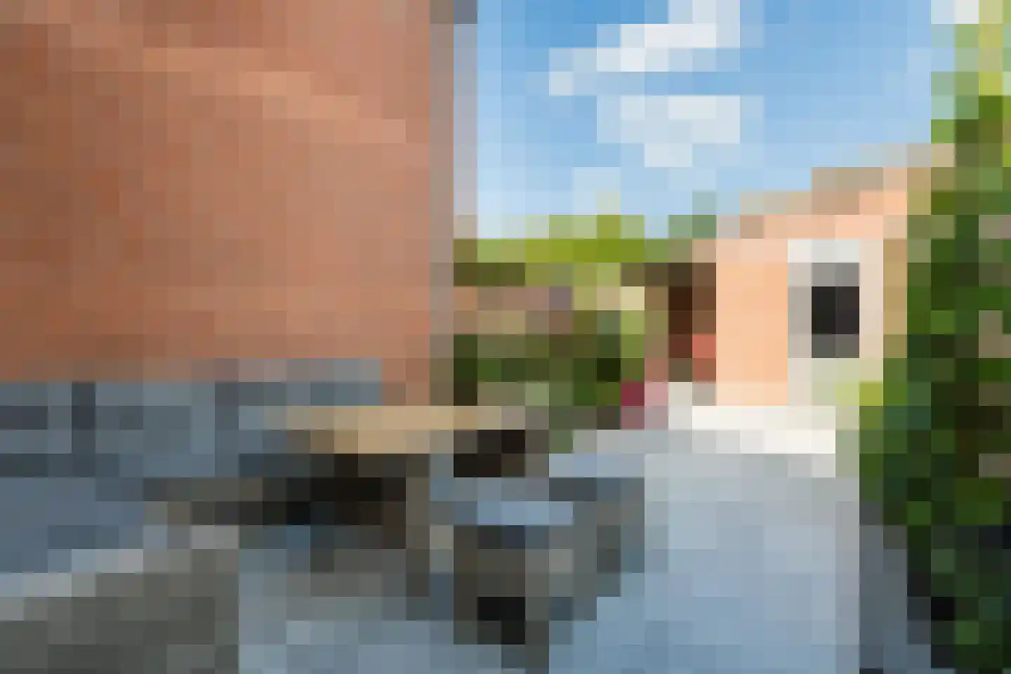 Fluitekruid 28 Bodegraven thumbnail 33