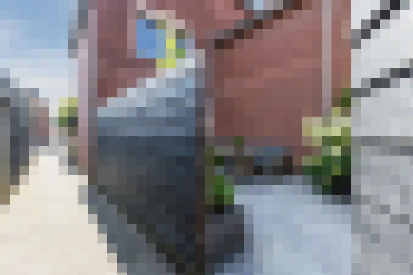 Fluitekruid 28 Bodegraven thumbnail 38