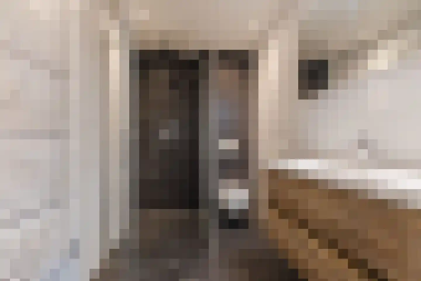 Fluitekruid 28 Bodegraven thumbnail 4
