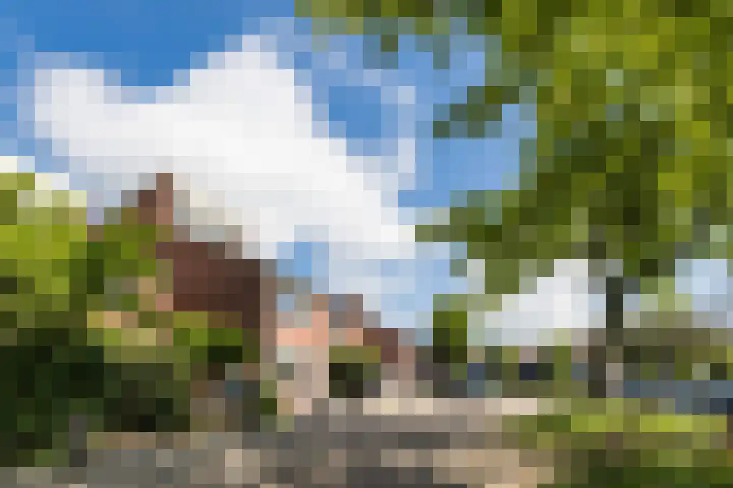 Fluitekruid 28 Bodegraven thumbnail 41