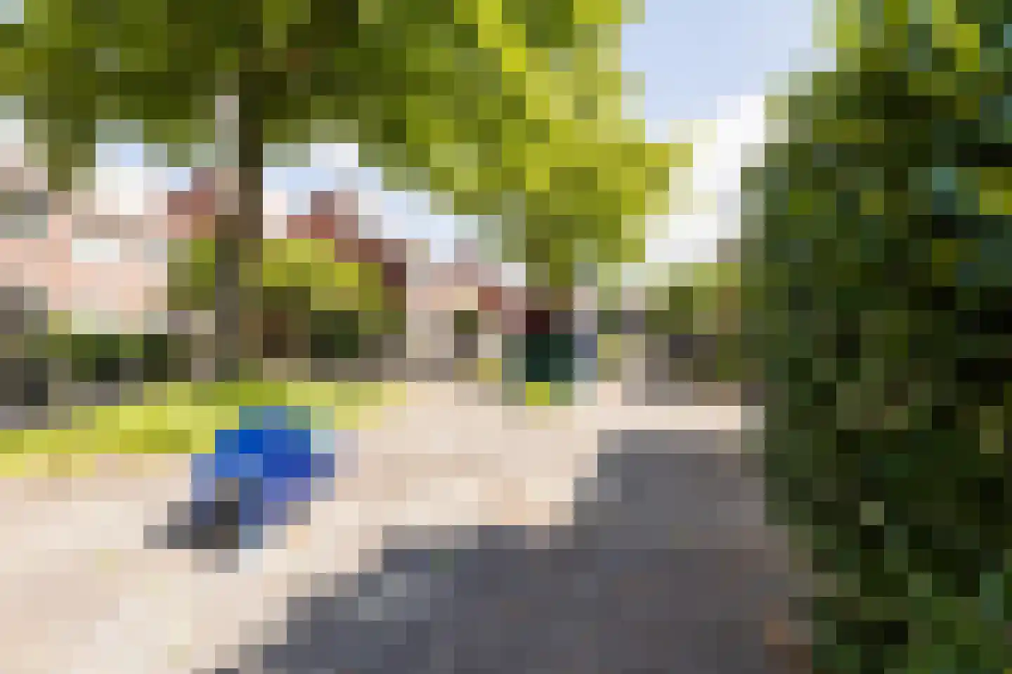 Fluitekruid 28 Bodegraven thumbnail 42