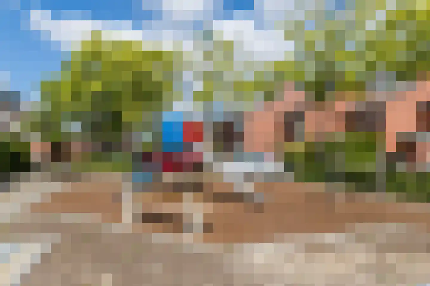 Fluitekruid 28 Bodegraven thumbnail 43