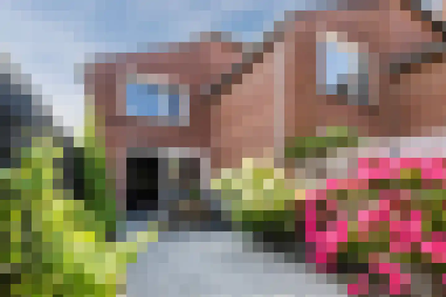 Fluitekruid 28 Bodegraven thumbnail 6