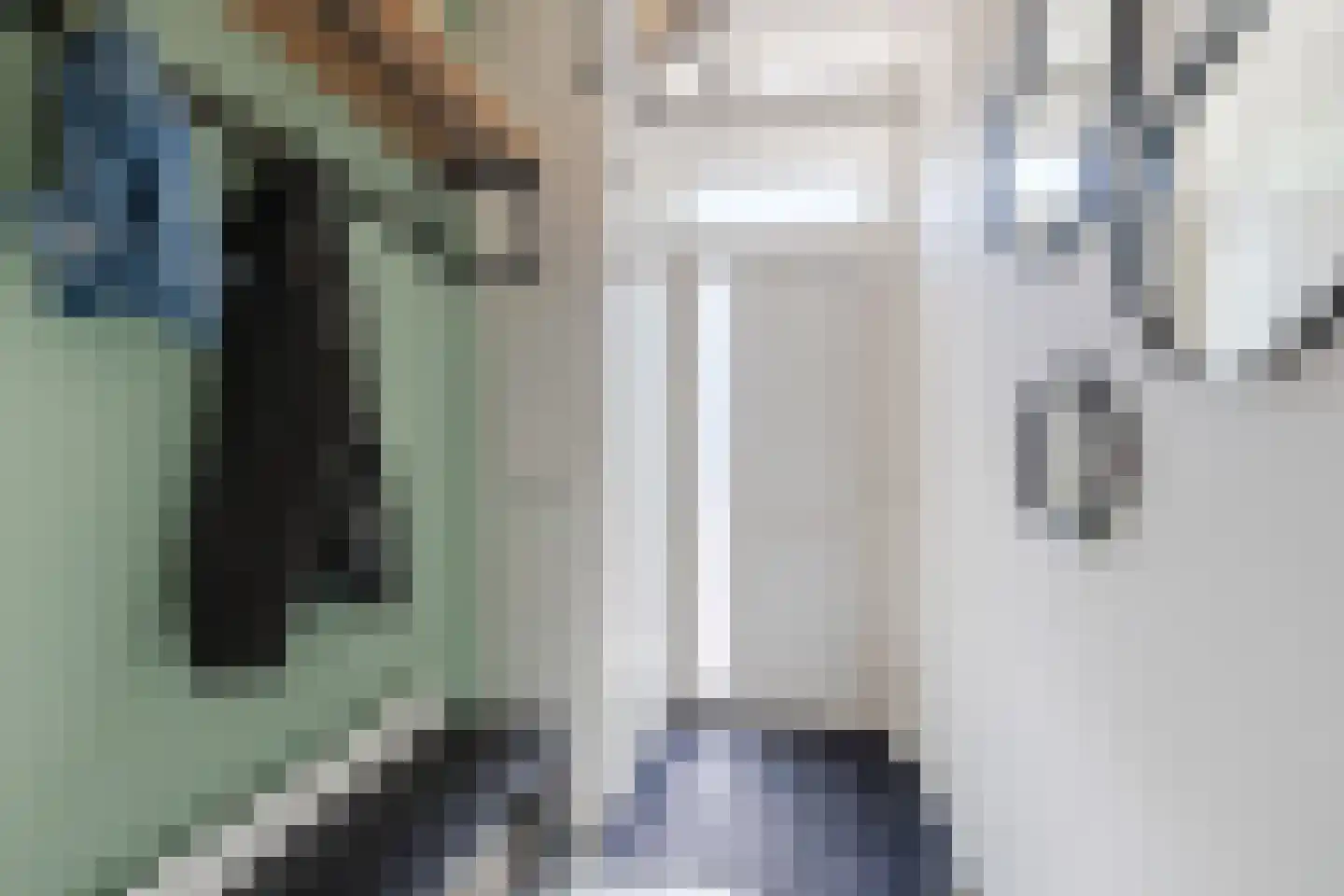 Fluitekruid 28 Bodegraven thumbnail 9