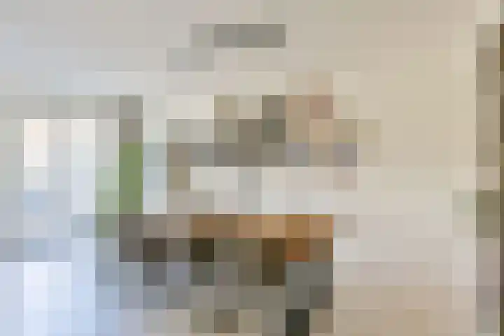 Fluitekruid 30 Mijdrecht thumbnail 10