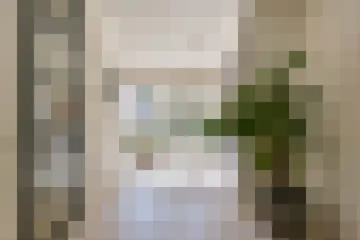 Fluitekruid 30 Mijdrecht thumbnail 13