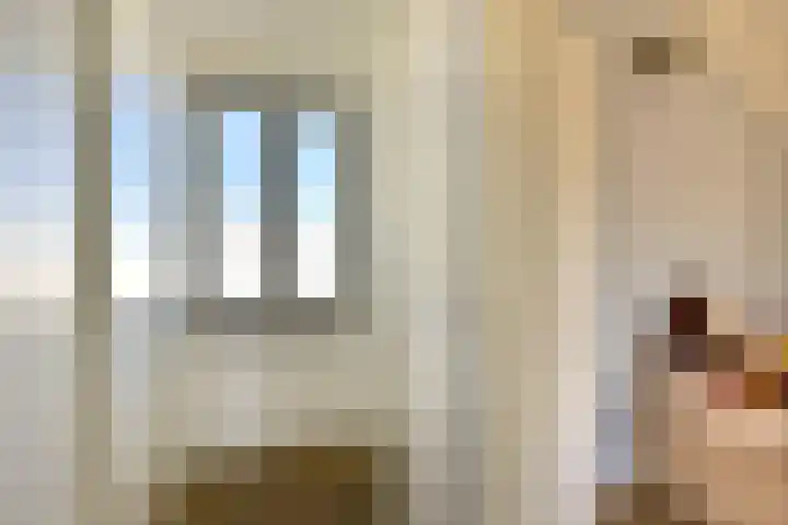 Fluitekruid 30 Mijdrecht thumbnail 32