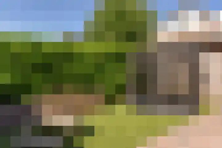 Fluitekruid 30 Mijdrecht thumbnail 37