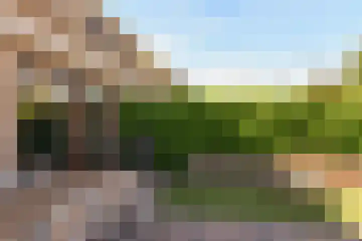Fluitekruid 30 Mijdrecht thumbnail 39