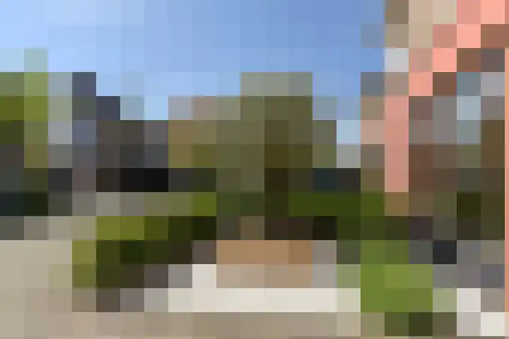 Fluitekruid 30 Mijdrecht thumbnail 4