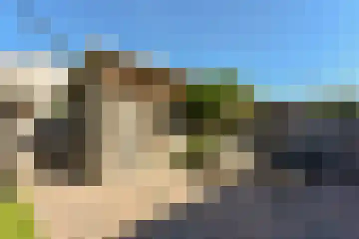 Fluitekruid 30 Mijdrecht thumbnail 41
