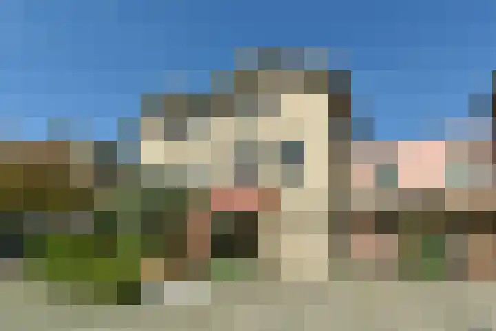 Fluitekruid 30 Mijdrecht thumbnail 42