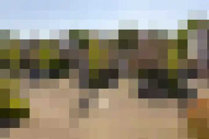 Fluitekruid 30 Mijdrecht thumbnail 43