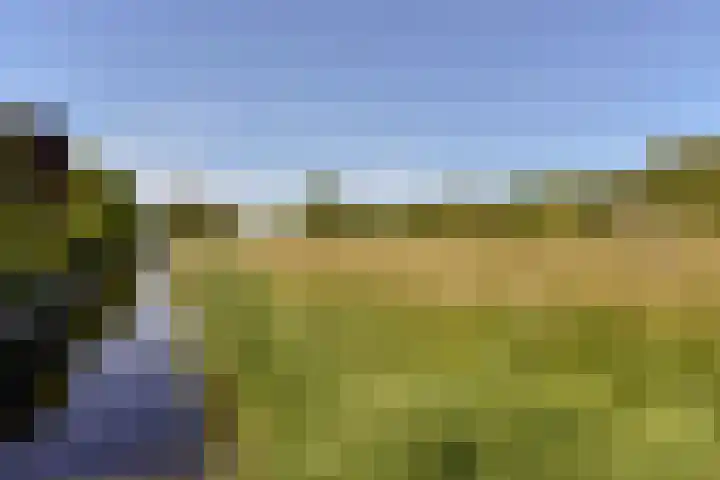 Fluitekruid 30 Mijdrecht thumbnail 45