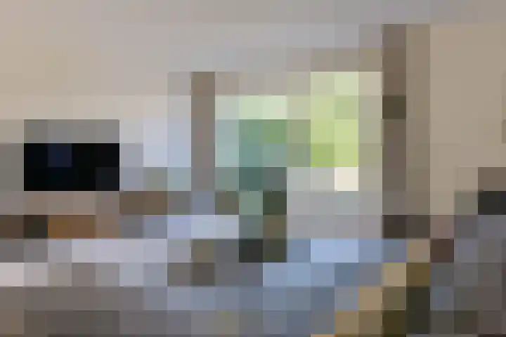 Fluitekruid 30 Mijdrecht thumbnail 7