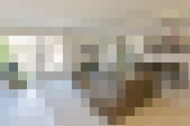 Fluitekruid 30 Mijdrecht thumbnail 8