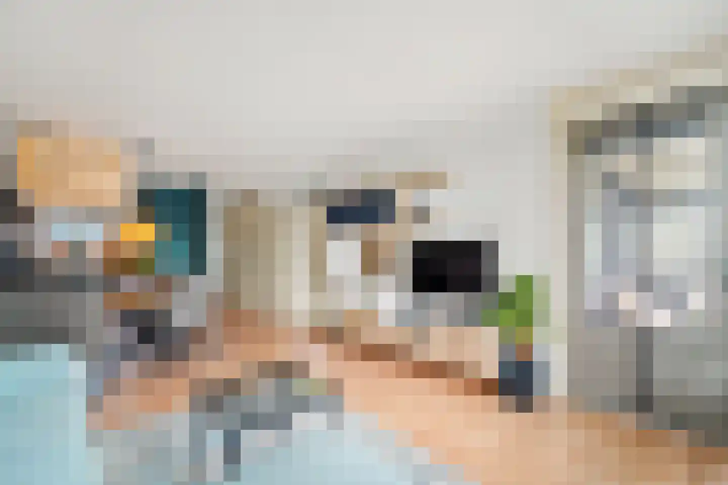 Fluitekruid 36 Den Hoorn thumbnail 17