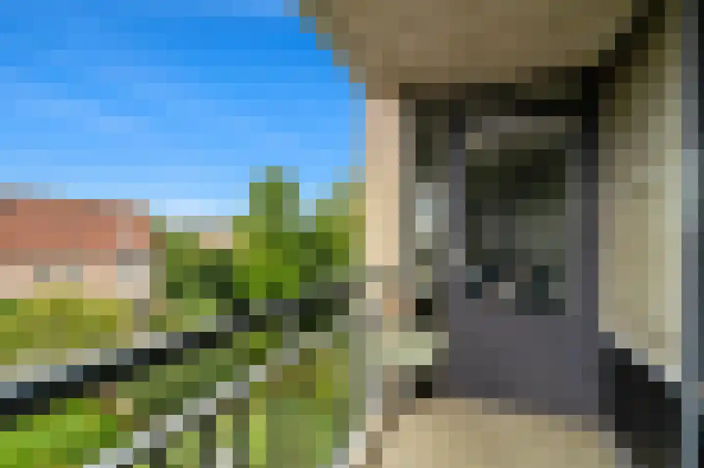 Fluitekruid 36 Den Hoorn thumbnail 20