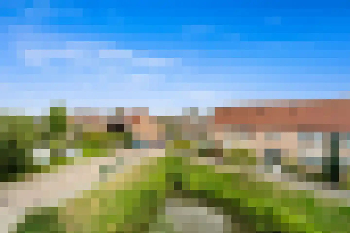 Fluitekruid 36 Den Hoorn thumbnail 21