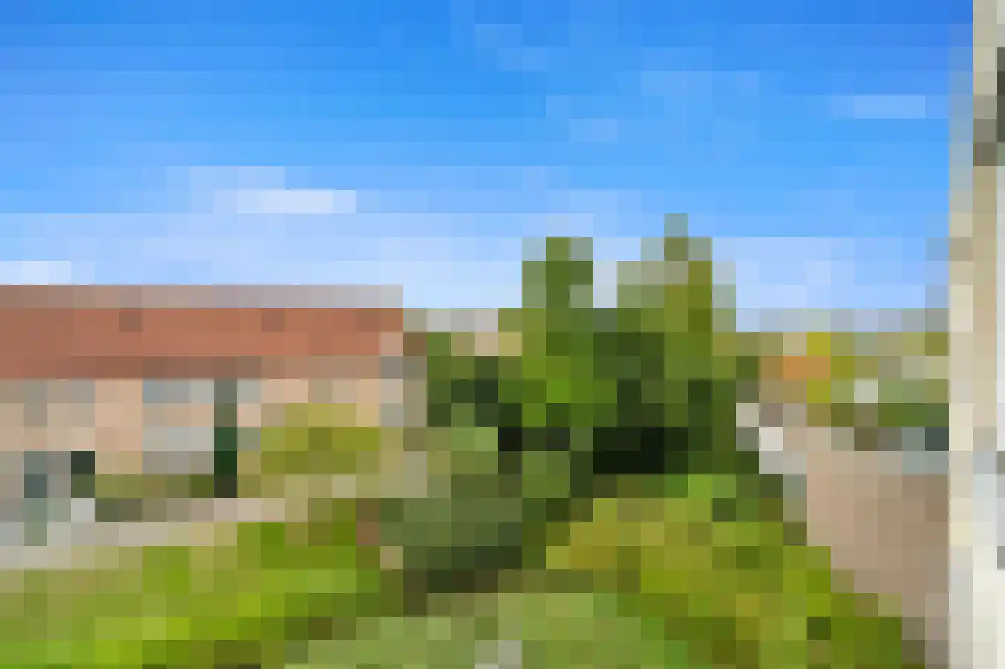 Fluitekruid 36 Den Hoorn thumbnail 22