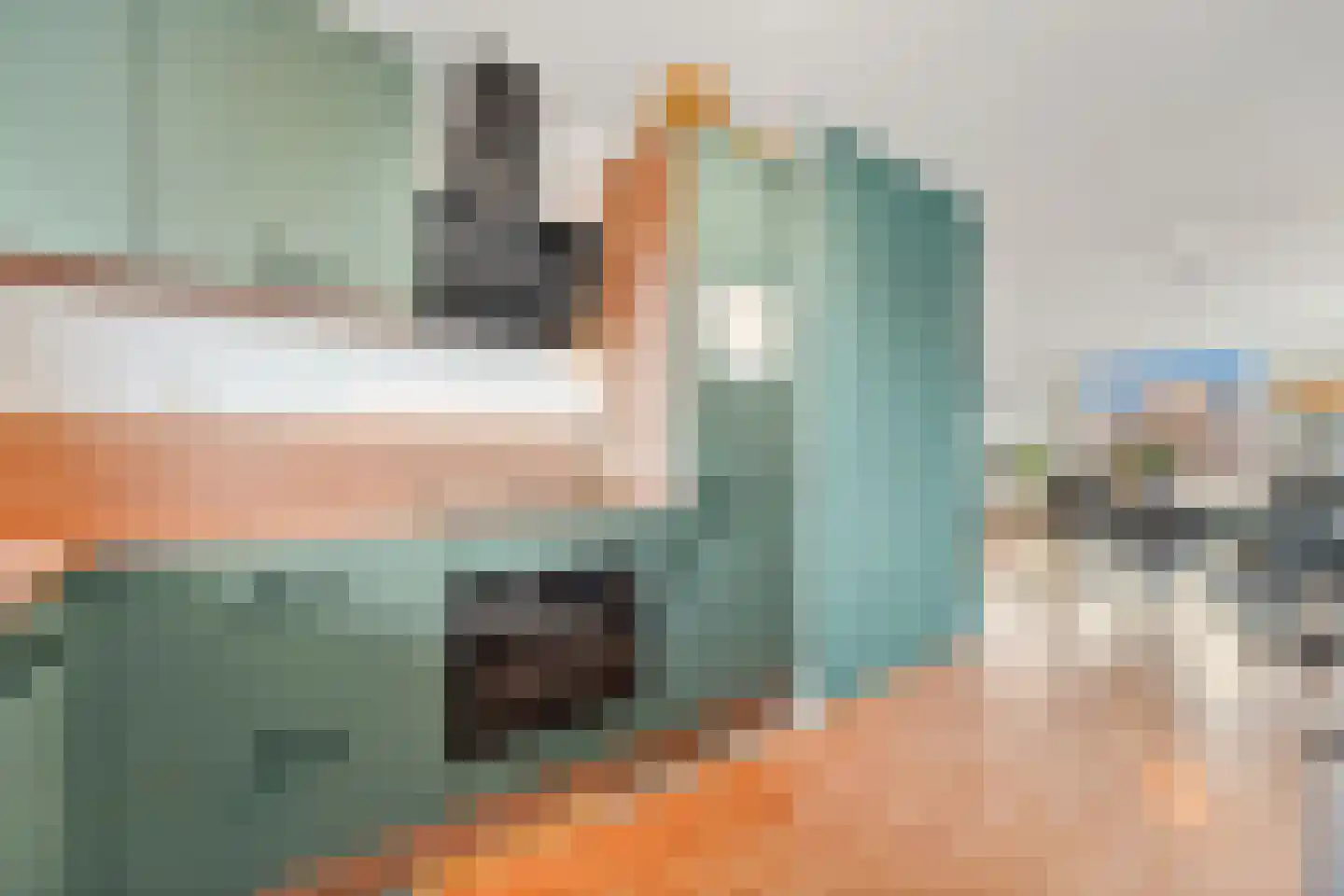 Fluitekruid 36 Den Hoorn thumbnail 24