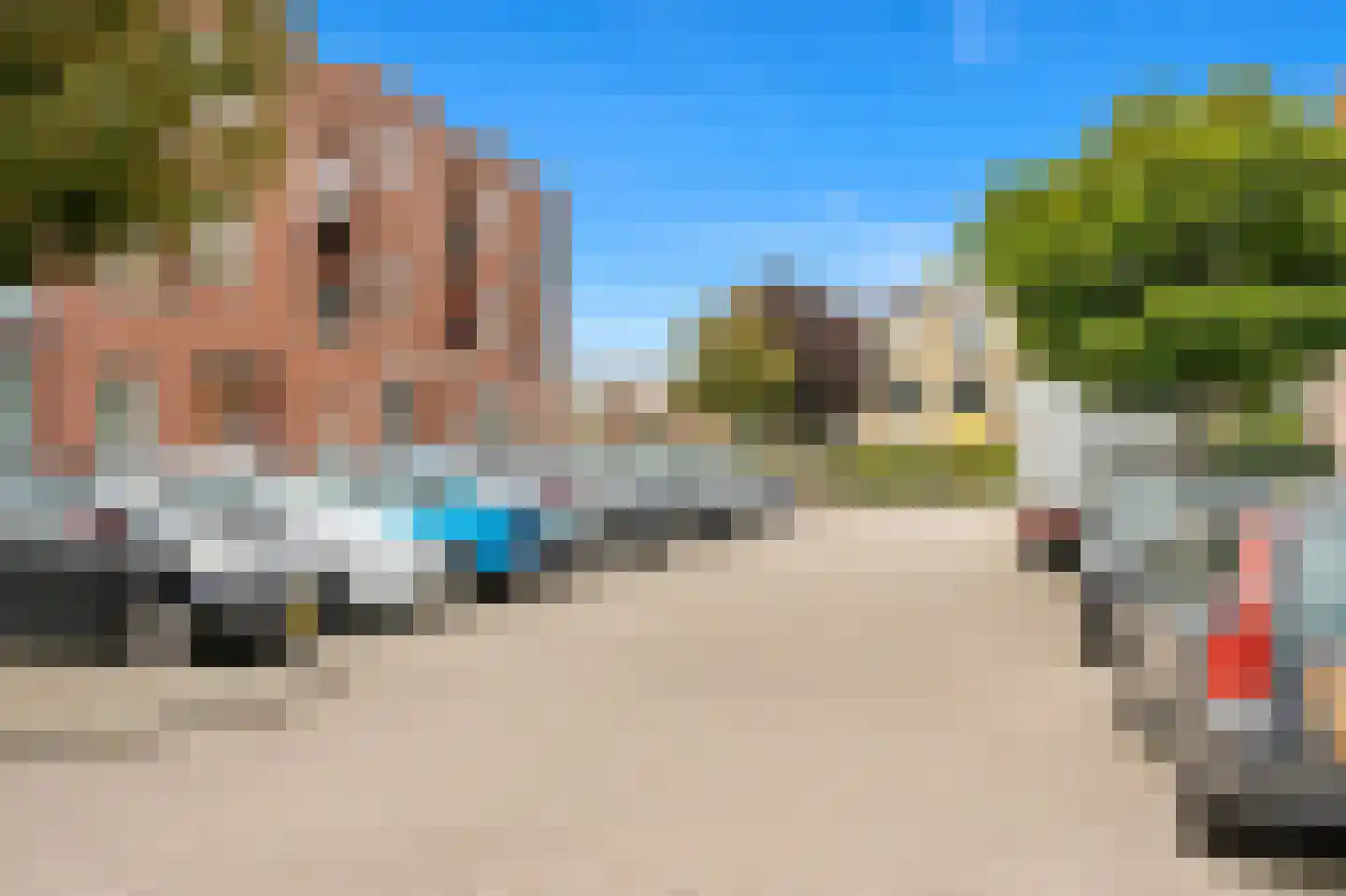 Fluitekruid 36 Den Hoorn thumbnail 35