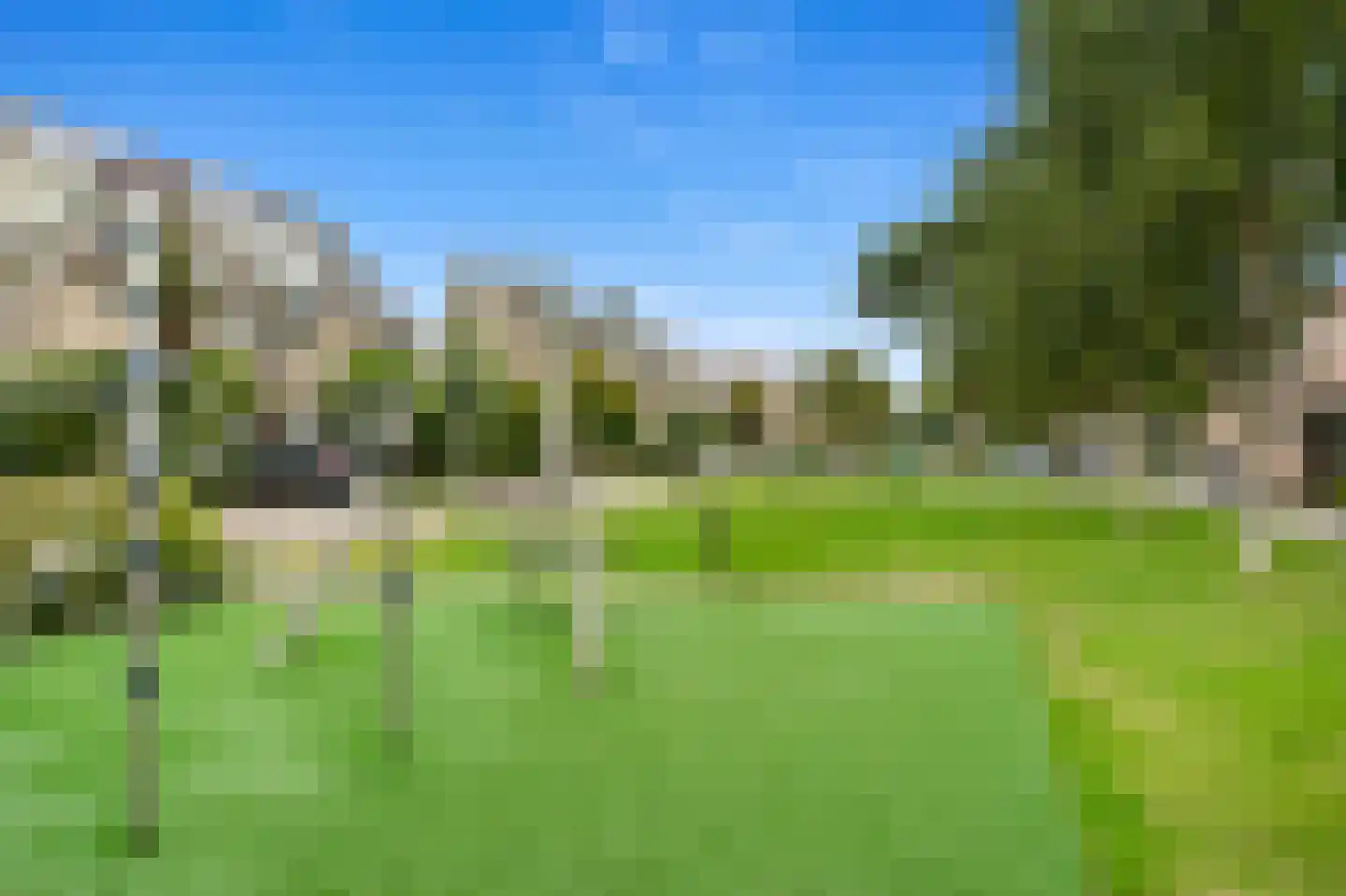 Fluitekruid 36 Den Hoorn thumbnail 36