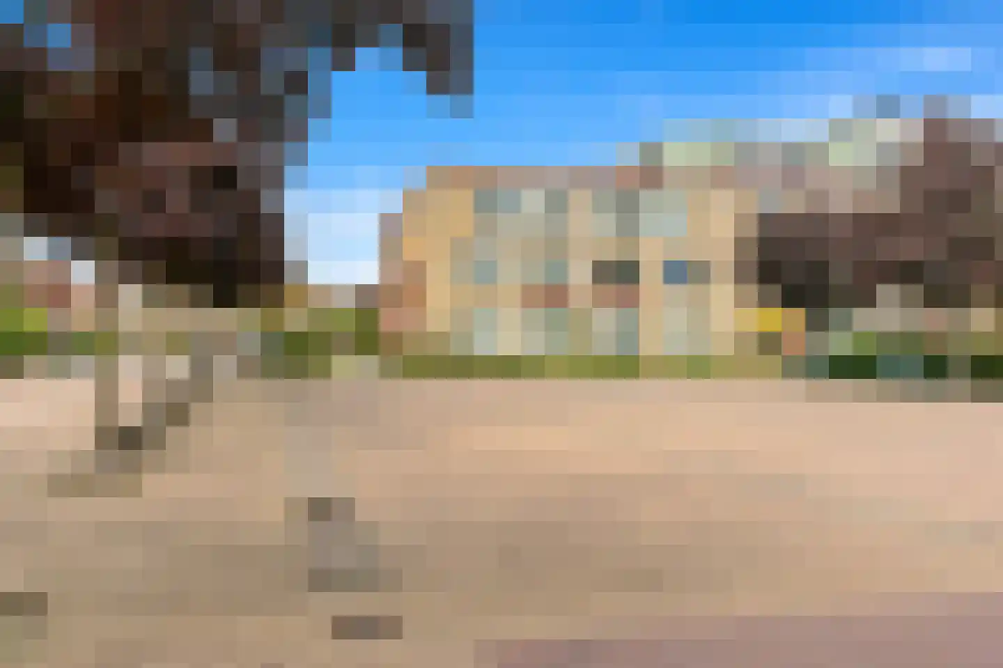 Fluitekruid 36 Den Hoorn thumbnail 37