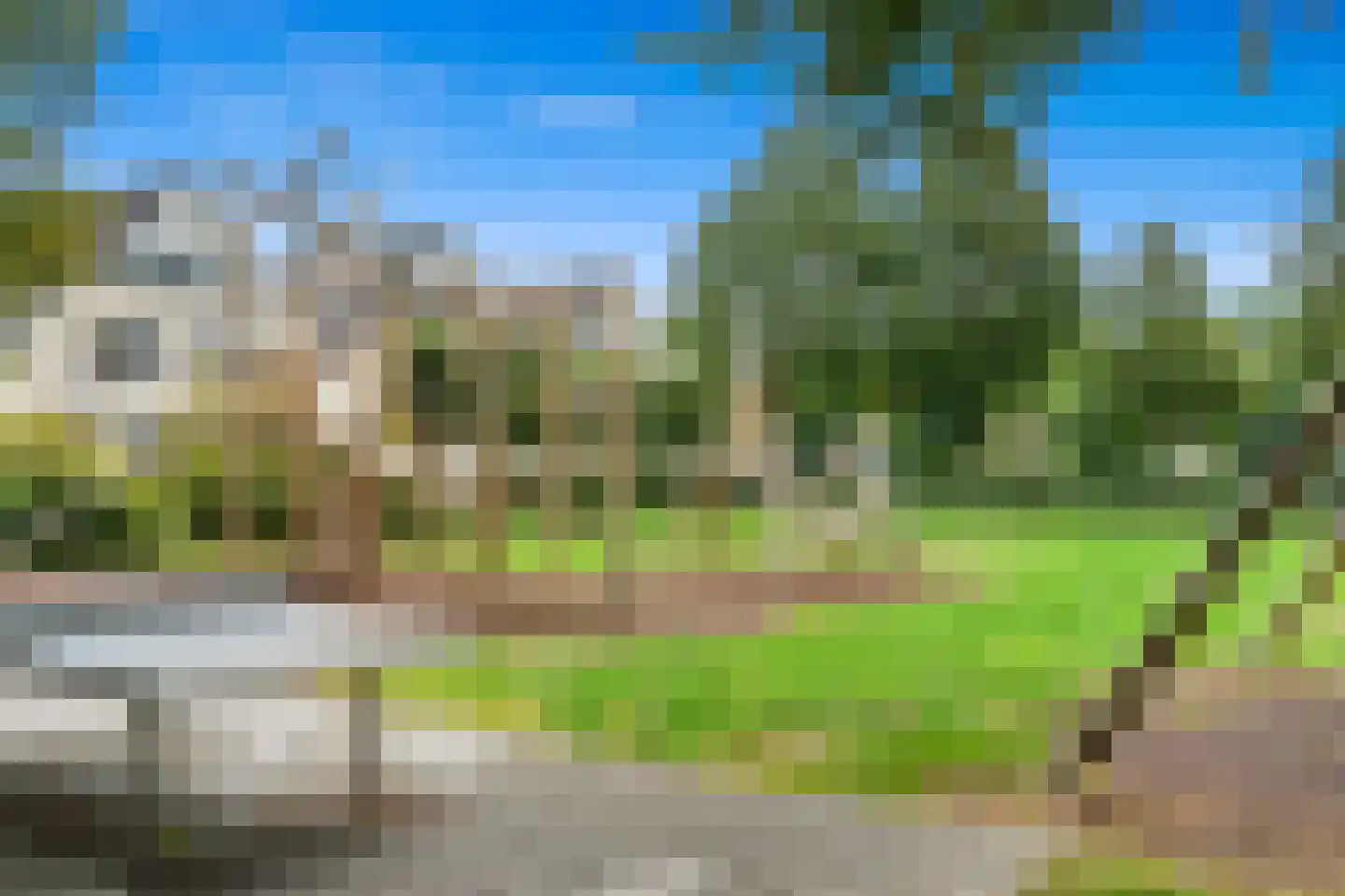 Fluitekruid 36 Den Hoorn thumbnail 39