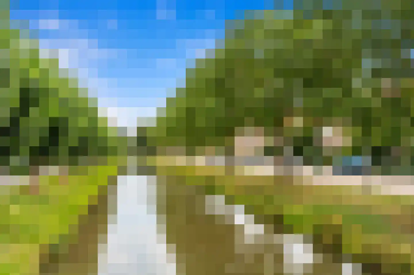 Fluitekruid 36 Den Hoorn thumbnail 40